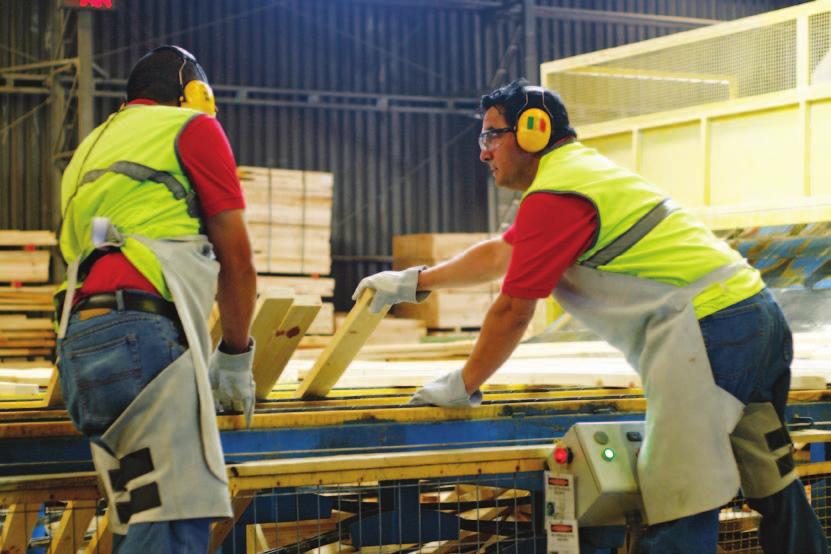 OCCUPATIONAL HEALTH AND SAFETY In order to reduce accident risks and attain world-class safety performance indicators, ARAUCO has continually worked on generating a culture of safety.