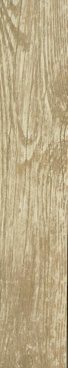 20 Rectified, Natural Finish 1095114-6 x24