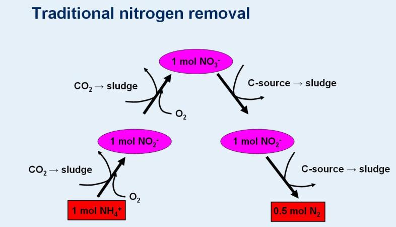 Nitrate and Ammonia For conventional nutrient removal