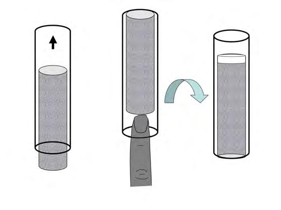 Figure 4: Respirometer Set-up 7. Repeat steps 5 & 6 for all six tubes. 8. Place each respirometer in the appropriate water bath for the incubation temperature indicated in the chart.