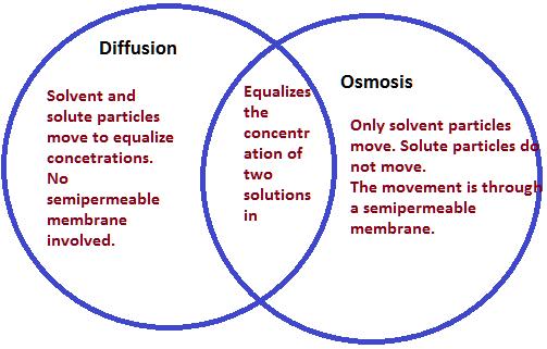 For osmosis to happen you need: two solutions with