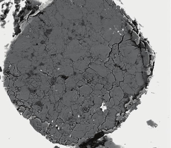 Al2O3 Bm 20 µm Supplementary Fig. 3. SEM images of recovered samples.