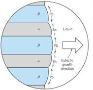 Microstructures in Eutectic Alloys 3. Cooling through eutectic point. h: homogeneous liquid.