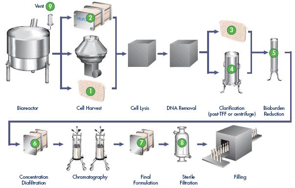 Single use technology in Vaccine Manufacturing Media Preparation Fermentation/ Cell Culture Cell