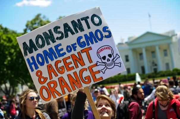 as part of worldwide protests against Monsanto and genetically modified foods.