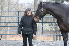 Powerful Questioning Any of the exercises that occur during an Equine Assisted Coaching session provide excellent opportunities for powerful questions.