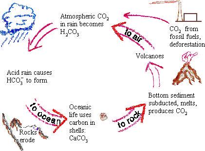 Energy, Ch. 16, extension 3 The carbon cycle 2 Fig. E16.4.