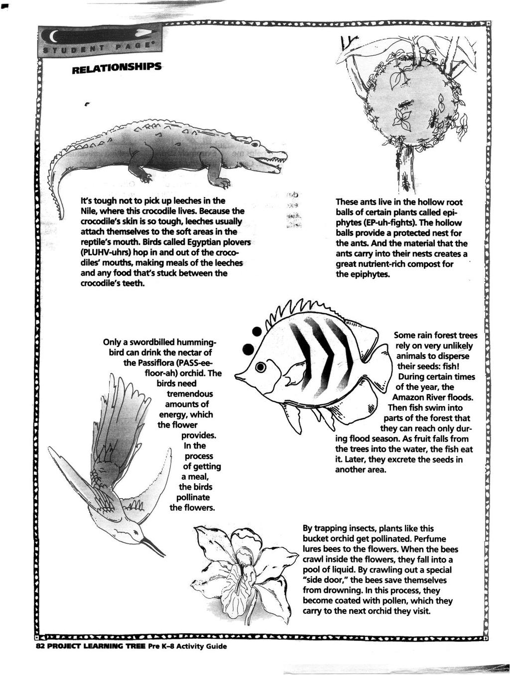 Biology CP 10-11 Take-Home Ecology Packet NAME: Directions 1) Read each paragraph below. Each paragraph describes one OR MORE relationships.