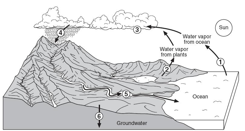 Water Cycle Homework Directions: Below is a diagram of the water cycle. Use your prior knowledge to answer the following questions.