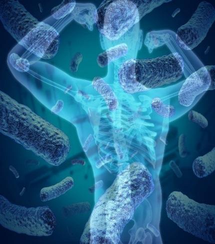 Importance of the Skin Microbiome Bacterial Symbiosis Any disturbance of the microflora balance can be costly Potential downside If the microbiome is altered or impaired, the health of the human host