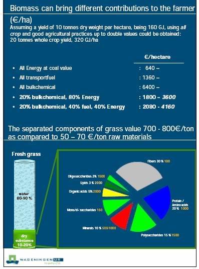 Biomassi kasutuse kaskaad, toodangu hind