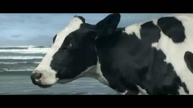 Farmed Animals as Subjects: Mary the Cow Information