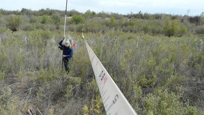 METHODS 21 TRANSECTS TO MEASURE VEGETATION COVER DISTRIBUTED IN 92 KM OF