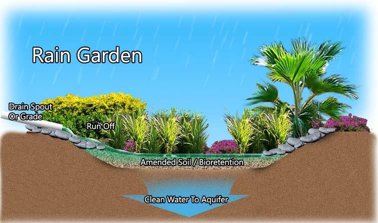 2. Rain Garden or Bioretention Area Rain gardens are small retention basins that can be integrated into a site s landscaping. They also are called Bioretention Systems.