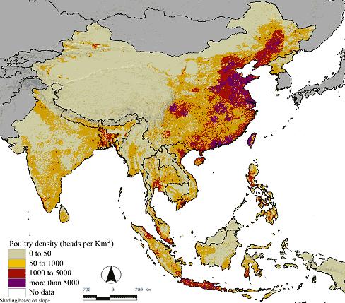 Poultry Density Red means more than 40% more Phosphorus