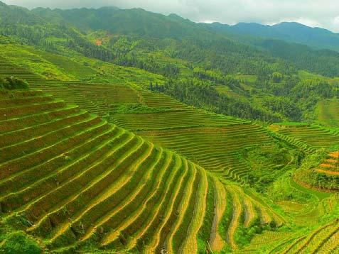 Agricultural Resources China has gone below the politically sensitive 120 million hectares (296 million acres), has at most 275 million acres, a lot of which is poor quality land that cannot be