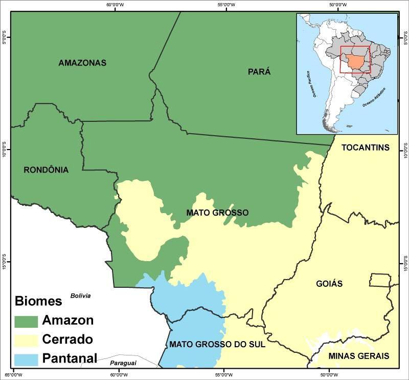 MATO GROSSO STATE QUICK FACTS The State of Mato Grosso is located in the heart of the South-American continent and belongs to the Center-West Region of Brazil.