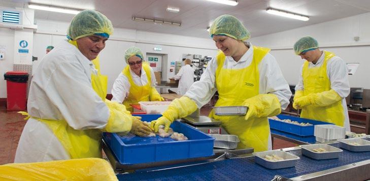 3. Sea Fish Processing Industry: Output and Productivity 3.4 Customer Base 3.