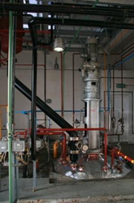 Technology and Equipment Two production lines currently (12 m 3 and 30 m 3 reactors) Technology and formulations are developed in cooperation with Raisio Chemicals (Finland) R&D team Japanese