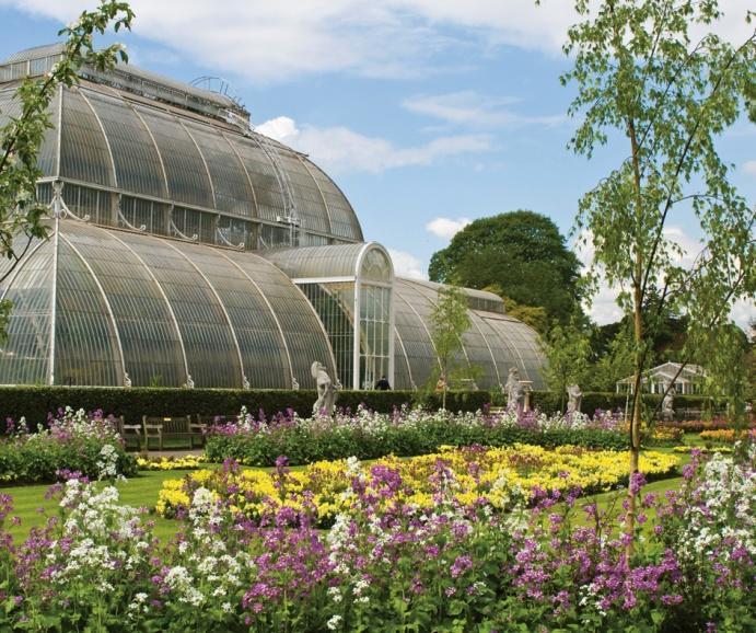 EXECUTIVE SUMMARY At the Royal Botanic Gardens Kew ('Kew'), we have reached a pivotal point in our 250-year history.