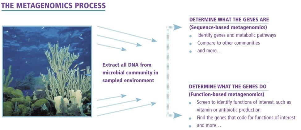 Idea: Collect an environmental sample, fragment and sequence DNA/mRNA.