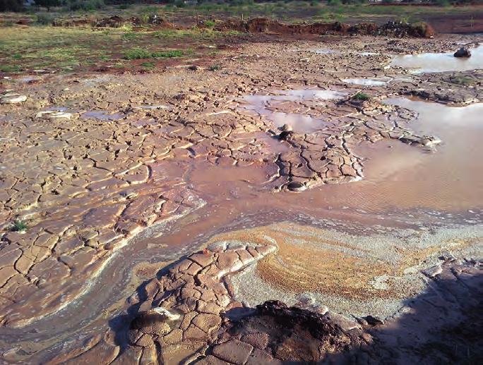 The flow of AMD into South Africa s surface and ground water systems is having devastating consequences that are both far-reaching and long-term.