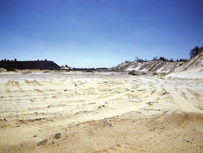 Figure 2: The uraniferous Randfontein Robinson dump in 2012 2.1 Who is affected by the development of mines?