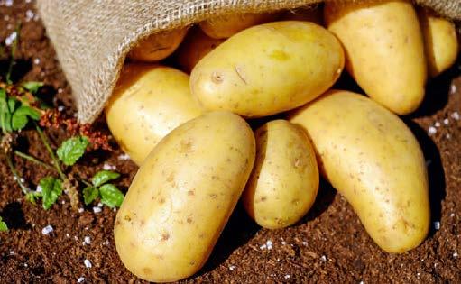 Varied recipes and dishes which feature potatoes or promote the health benefits of potatoes could also be key for future sales growth.
