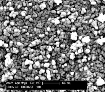 HA Nanoparticles: the Coating