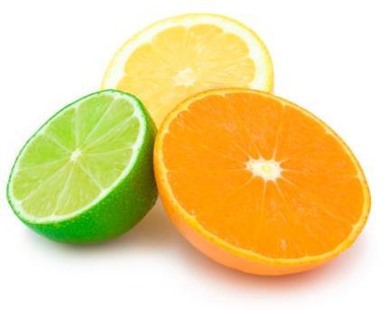 Citrus Nursery Stock