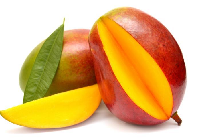 Mango Nursery Stock