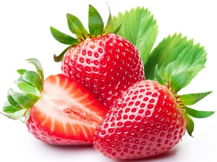 Strawberry Nursery Stock