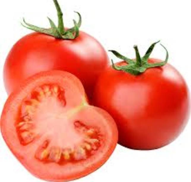 Tomato Nursery Stock