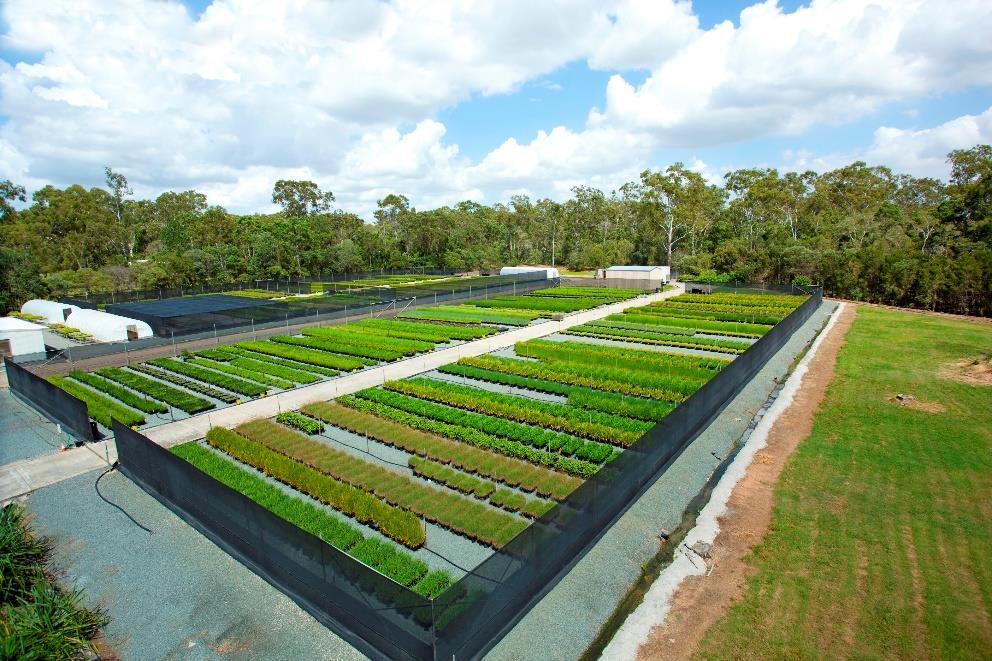 Nursery Production Supply Chains Nursery Production in Australia Located in every state & territory a broadly dispersed industry underpinning most horticulture plant industries.