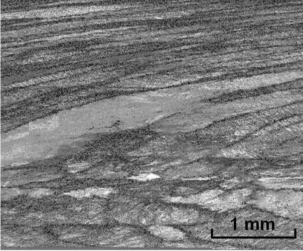 3: Microstructure of the martensitic elongated grains in the rod The TEM studies revealed that the studied alloys show the five-layered 5M structure of the martensite. Fig. 4.