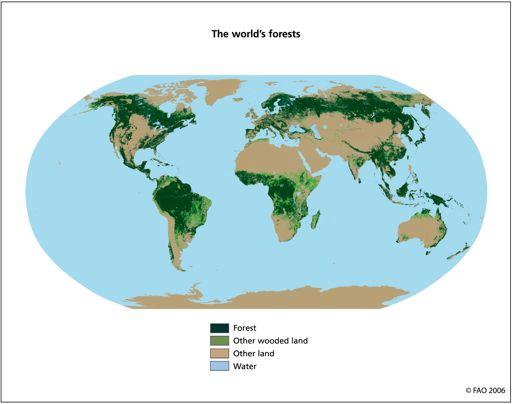 total global land area