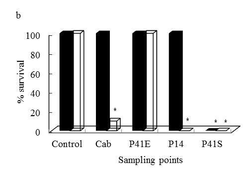 Figure 2. Percentage (%) of cladoceran survival in the acute toxicity test with water samples. * indicates significant difference from the Control (Fisher s test, P<0.05). (a) C. silvestrii and (b) D.
