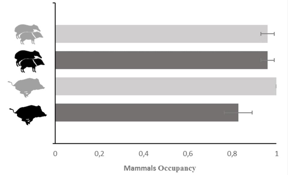 Figure 1. Mammals occupancy related to presence (dark) and absence (gray) of wild boars and peccaries. REFERENCES Bailey, L. et al.