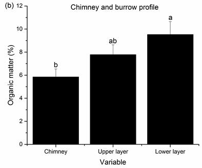 Figure 2: Mean (±SE) of OM content of chimneys and upper and lower layer in both treatments [(a) chimney and non-burrow profiles, (b) chimney and burrow profiles].