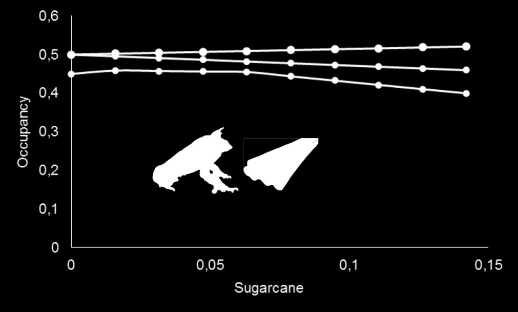 species with some variable of the landscape that we collected. P. boiei we ascertained a negative influence on it occupancy by the reservoir variable (β = -1.45 ± 0.09) and sugarcane (β = -1.13 ± 0.