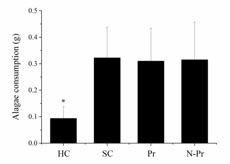 ANOVA, F (2,24) = 2.88, p>0.05). After acclimatization, approximately 2g (2,03 ± 0,02g) of wet weight of the alga U. lactuca was introduced in the same compartment of T. viridula.