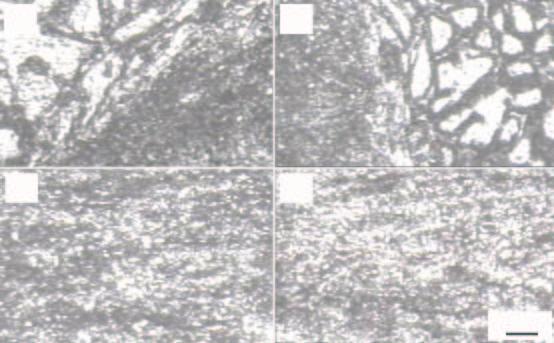 12 mm/min, (c) at feed 15 mm/min, (d) optical micrograph of nugget zone at feed 10 mm/min, (e) at