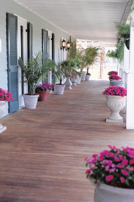 Southern Pine, combined with the technology of wood preservation, is a superior choice for building a porch.