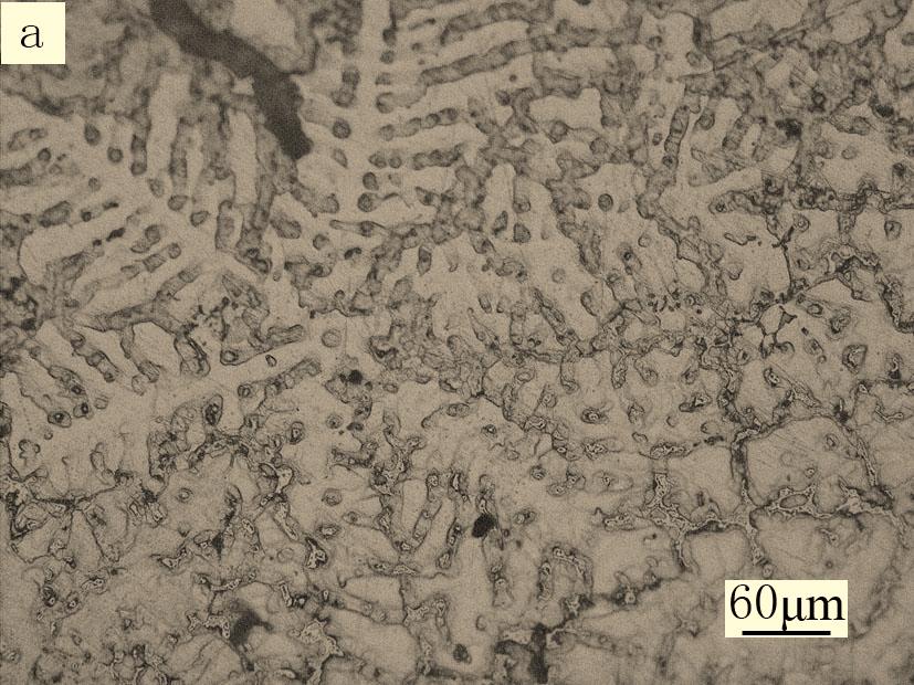 8 The Open Materials Science Journal, 2012, Volume 6 Ai and Quan Fig. (2). As-cast microstructures of alloy AZ91-0.2Ti (Ti=0.2wt%). Fig. (3).