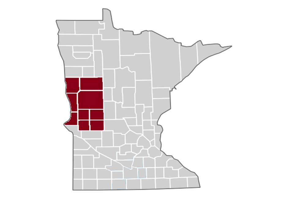 STUDY BACKGROUND AND OVERVIEW WEST CENTRAL REGION Minnesota s regions differ in size, social and economic characteristics, history, and geography.