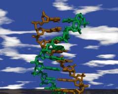 Learning Objectives By completing this tutorial, you will learn about: Structure and Function of DNA Structure of RNA Protein