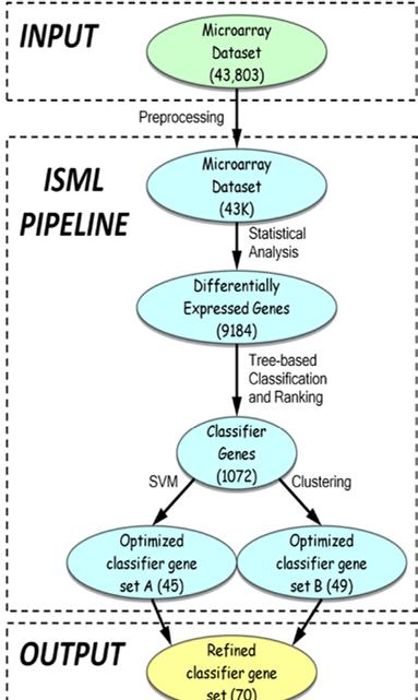 91 machine learning and unsupervised clustering. Numbers in brackets indicate the amount of genes remaining. Figure 6.9. Application of ISML pipeline in time-series earthworm dataset.