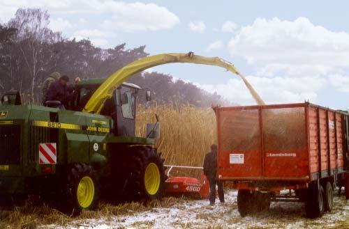 Harvesting Miscanthus http://bioenergy.ornl.