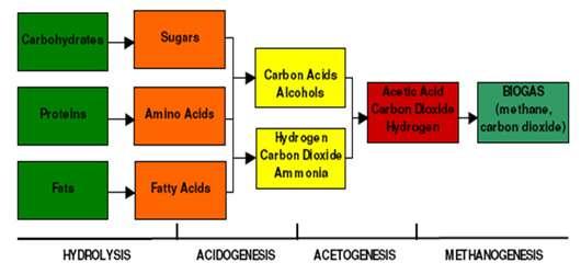 Anaerobic Digestion Relatively Simple Known
