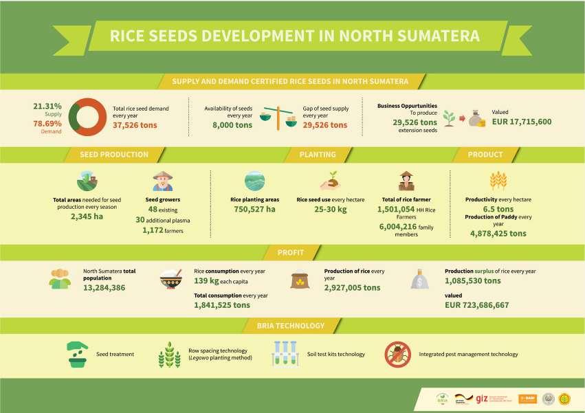 7 Supporting farmers to start a seed production business in North Sumatra Realising the great potential for seed business due to the growing demand for quality seed, BRIA selected and provided